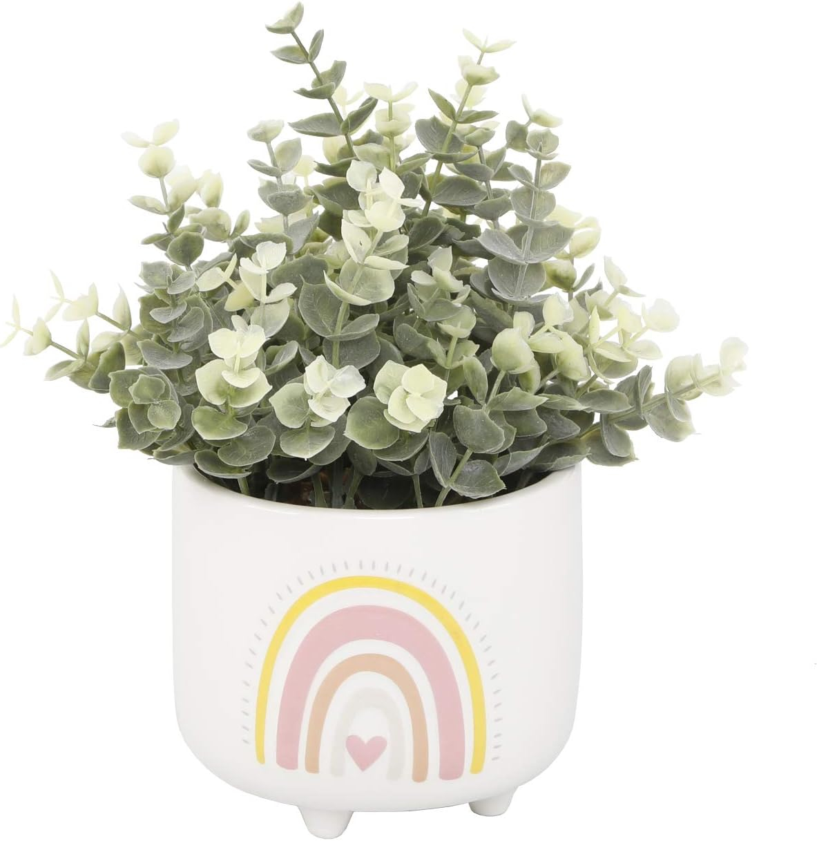 Flora Bunda CS5382E-PK Eucalyptus in 4.75'  Double Rainbow Footed Pot