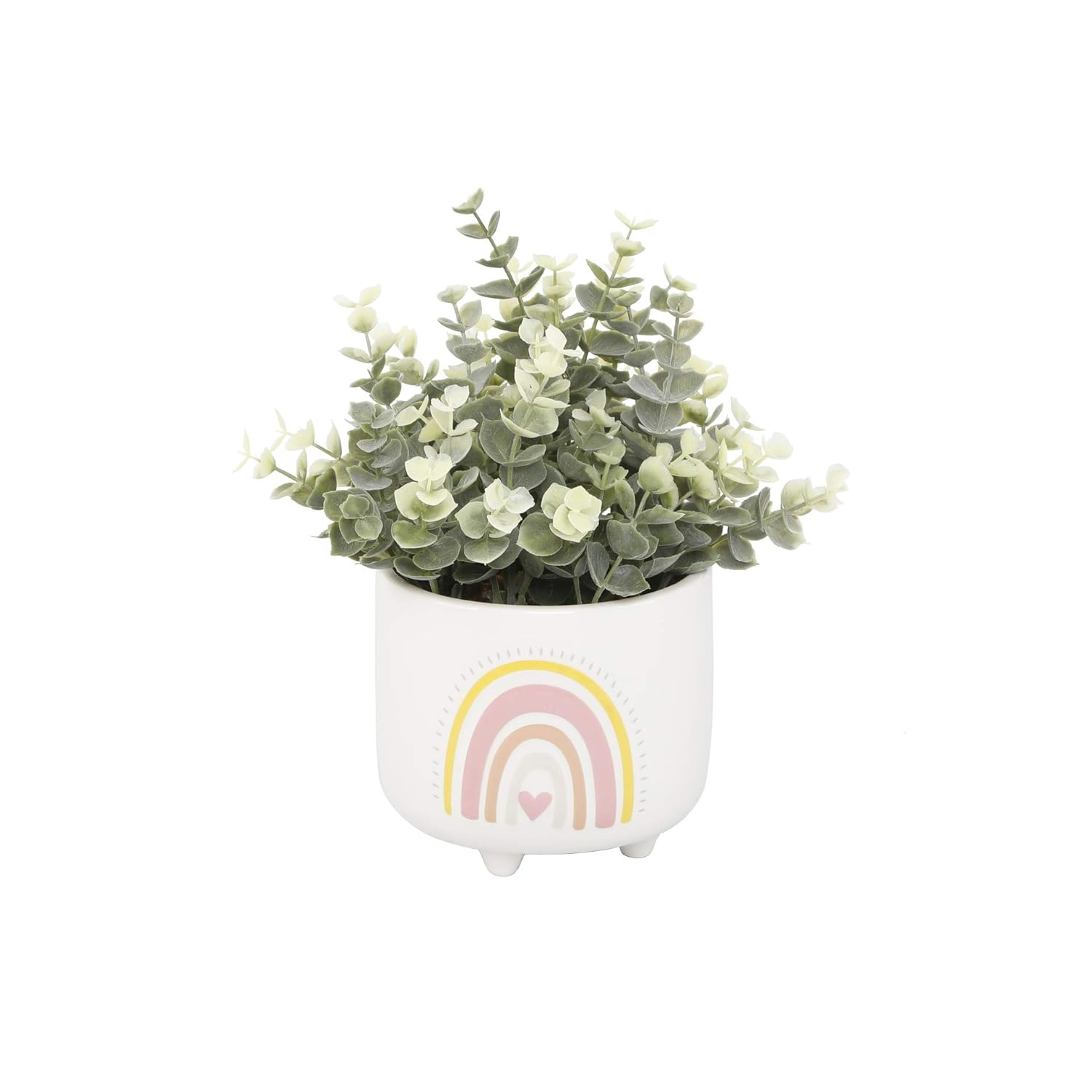 Flora Bunda CS5382E-PK Eucalyptus in 4.75'  Double Rainbow Footed Pot