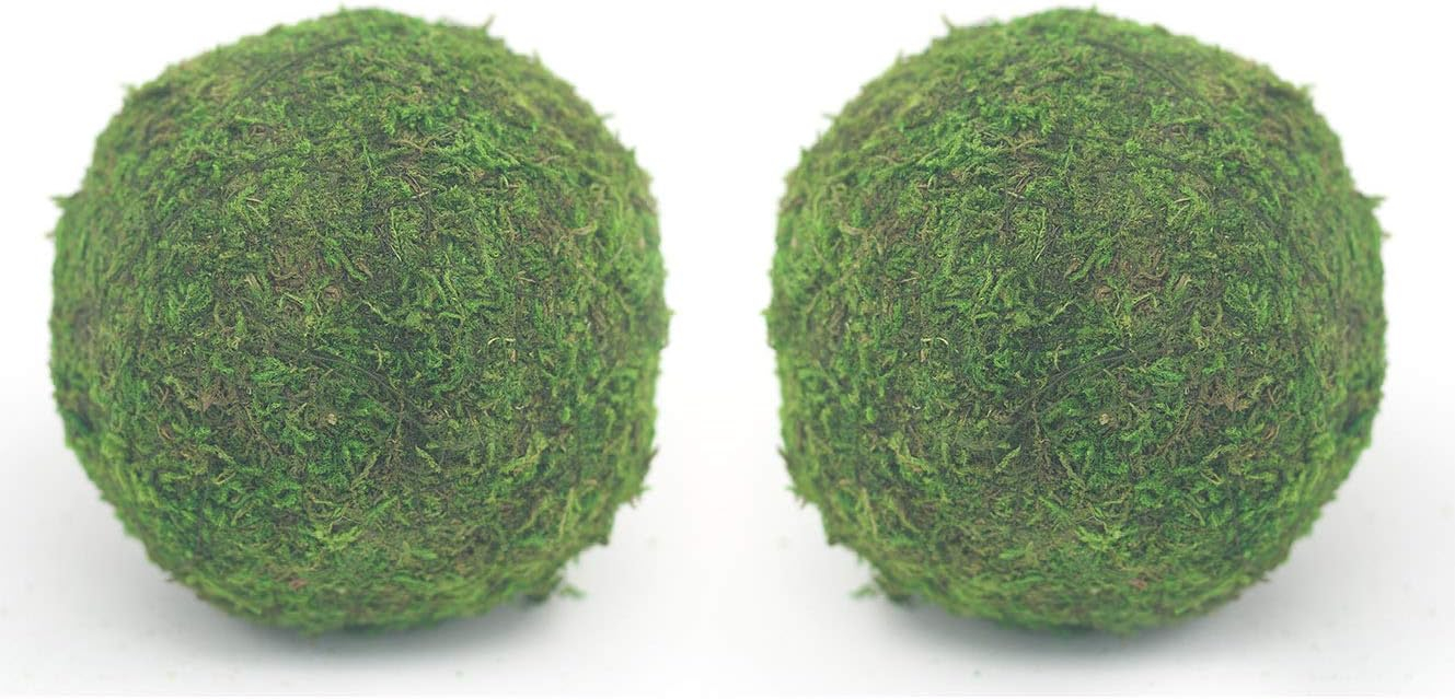 Nice purchase Handmade Natural Green Plant Moss Balls Decorative for Home Party Display Decor Props (6 in)