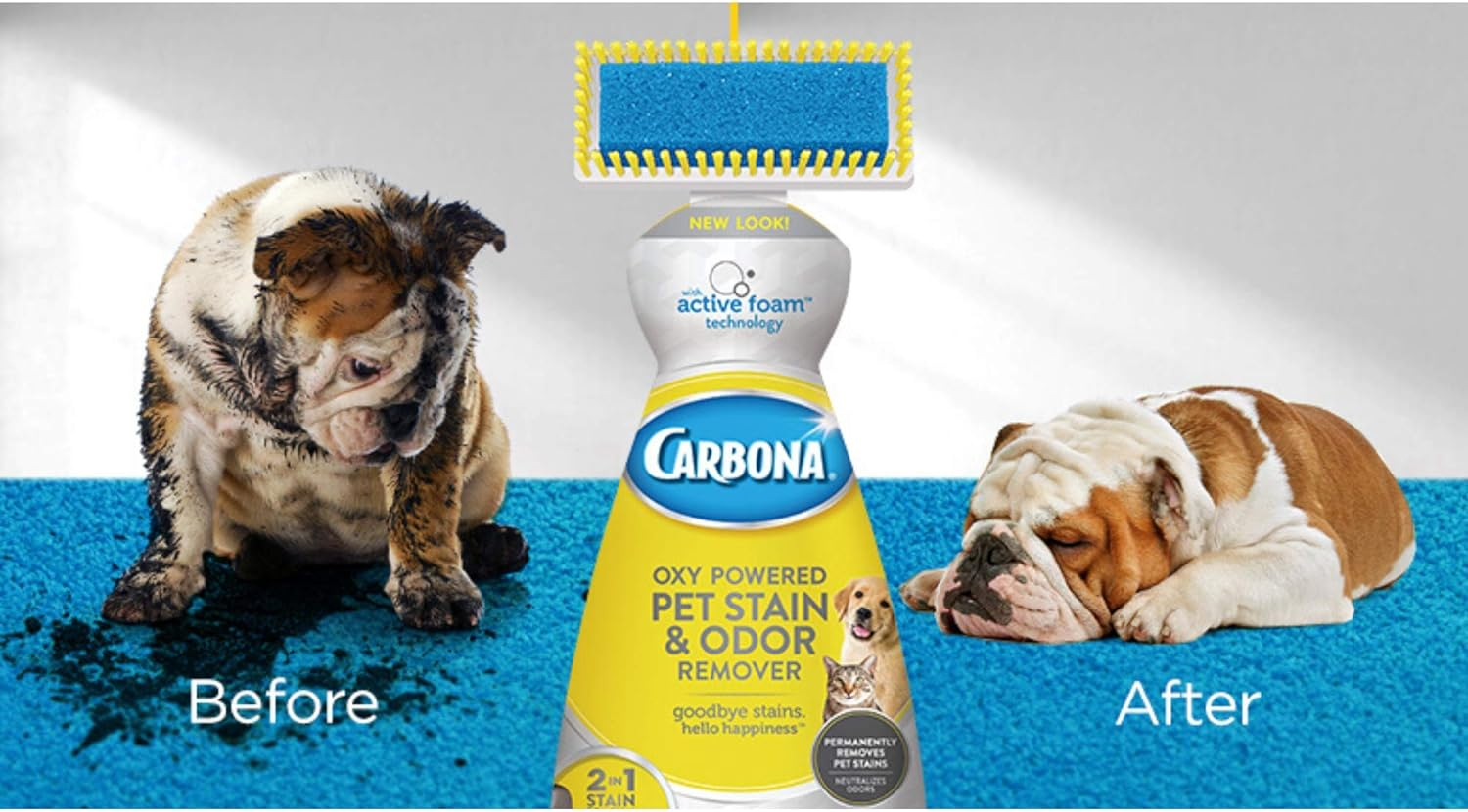 Carbona Oxy Powered Pet Stain & Odor Remover, Unscented, 22 fl oz Bottle