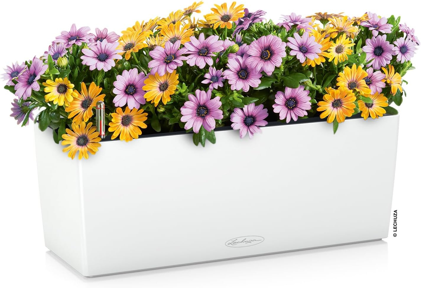 Sleek Matte White Rectangular Self-Watering Planter - 20"W