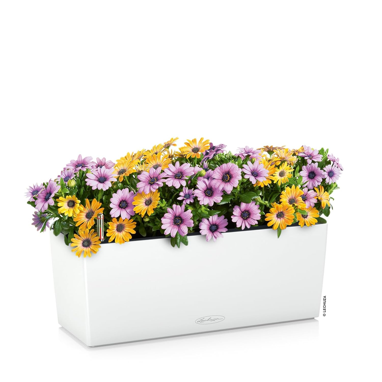 Sleek Matte White Rectangular Self-Watering Planter - 20"W