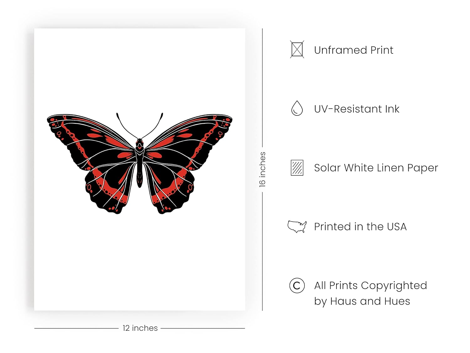 Haus and Hues Butterfly Art Wall Decor - Butterfly Prints Wall Art Modern Aesthetic Pictures for Wall, Moth Art Aesthetic Photos or Butterfly Pictures Wall Decor Moth Poster Wall Art (Unframed, 12x16)