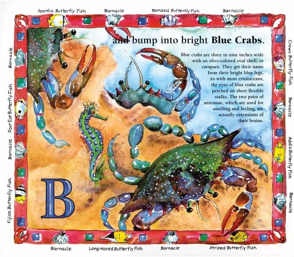 A Swim Through the Sea: Illustrated Non-fiction Kids' Book