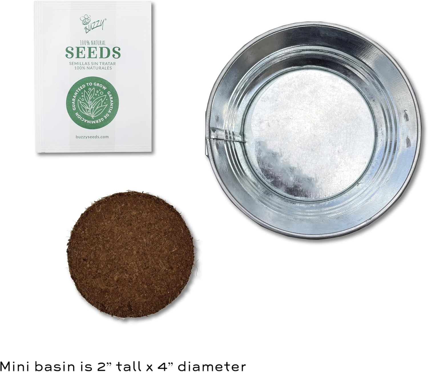 Vintage-Inspired Metal Mini Basin Strawberry Grow Kit