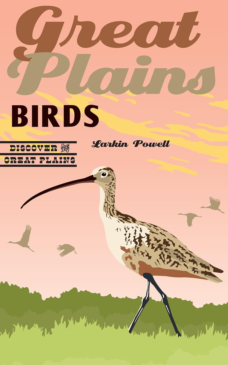 Great Plains Birds - (Discover the Great Plains) by  Larkin Powell (Paperback)