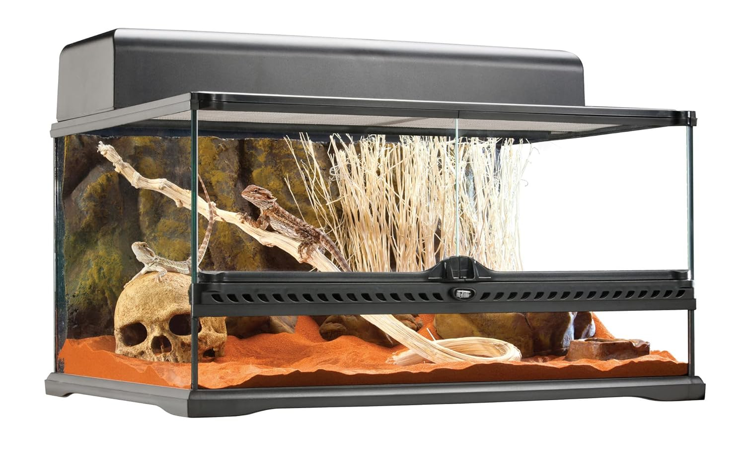 Exo Terra All Glass Short Terrarium, 24in x 18in x 12in