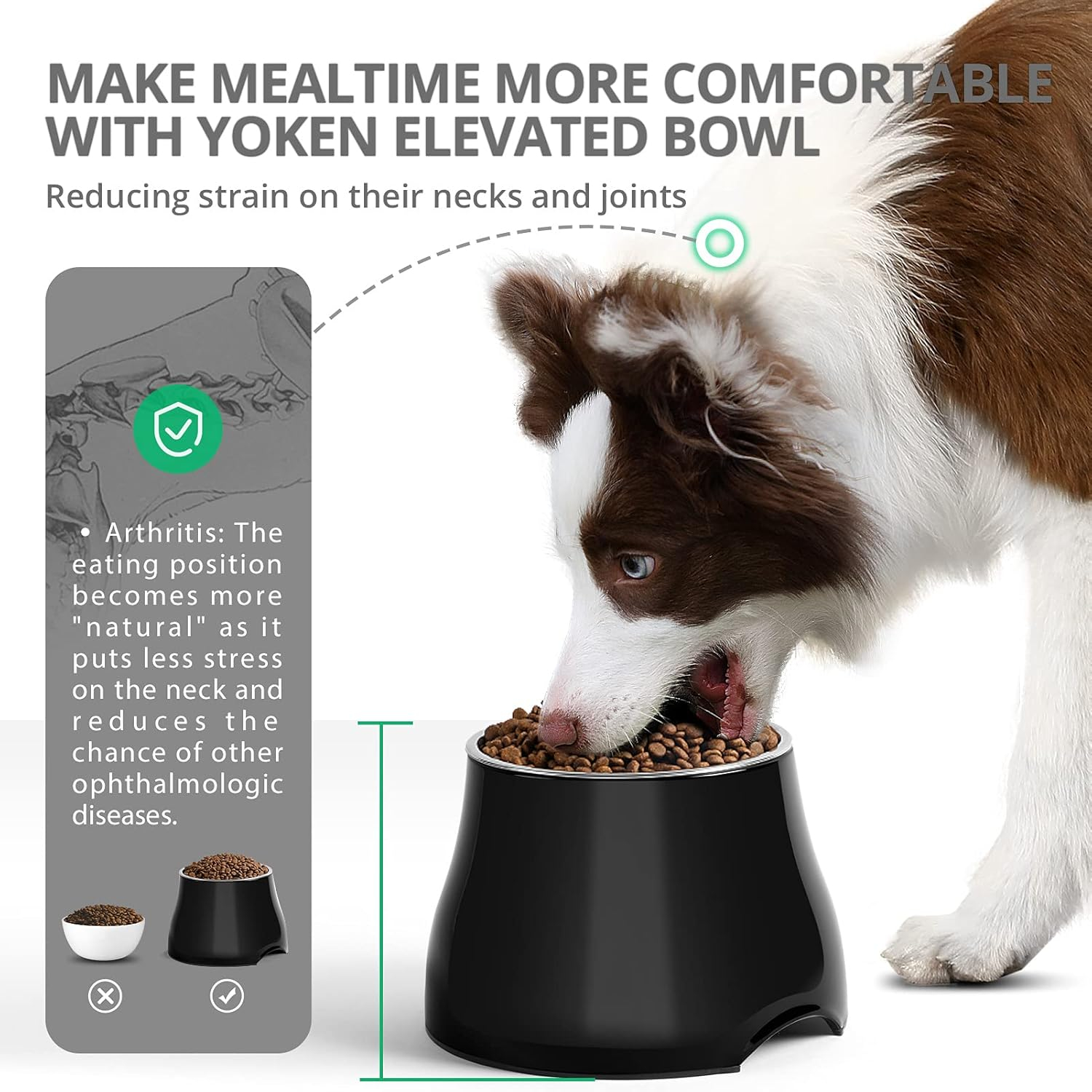 Yoken Elevated Dog Bowls, Stainless Steel Bowl,Prevention of Vertebrae Disease