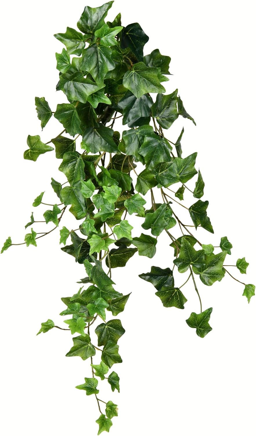 Vickerman 28" Artificial Green Ivy Hanging Bush, Pack of 2