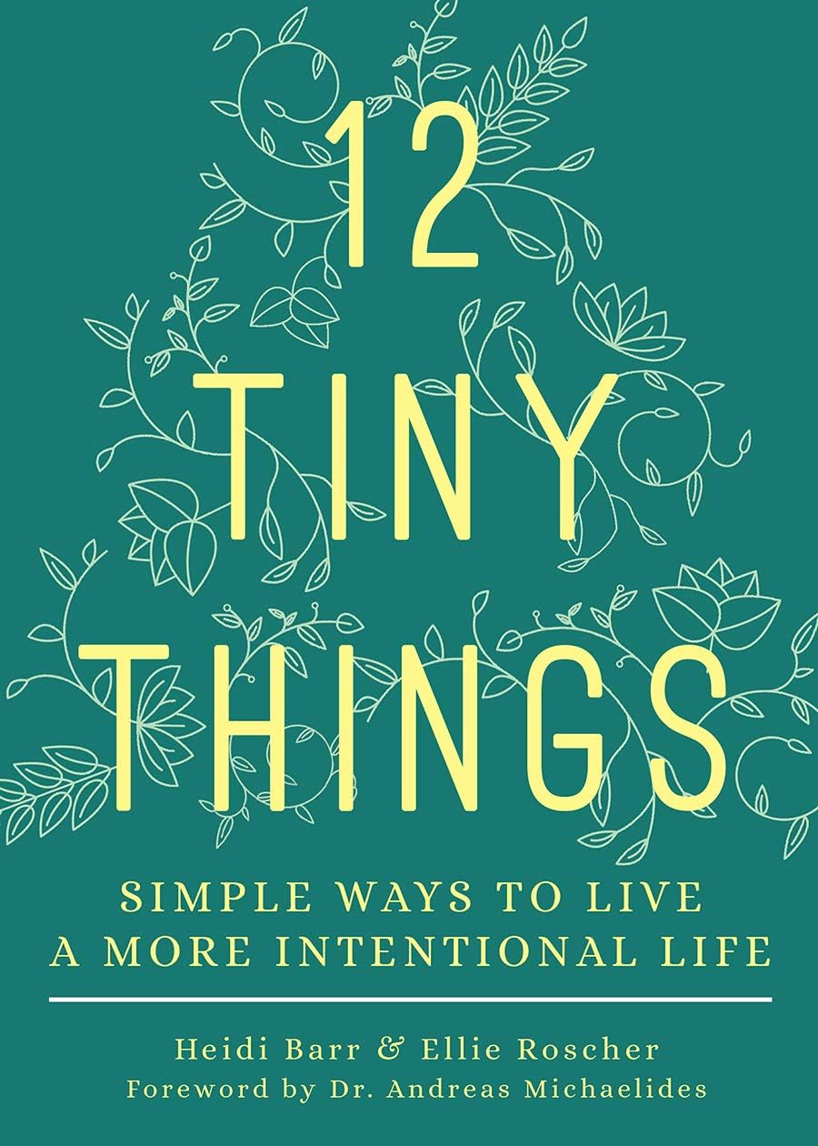 12 Tiny Things - by  Heidi Barr & Ellie Roscher (Paperback)