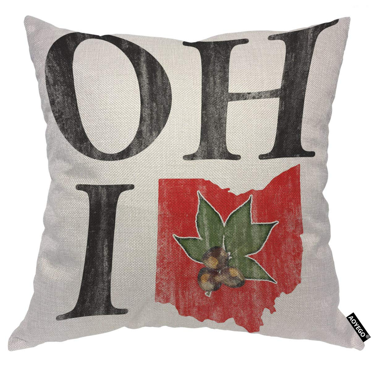 AOYEGO Oh I Love Ohio States Throw Pillow Cover Vintage Red Buckeye Nut Pillow Case 18x18 Inch Decorative Men Women Room Cushion Cover for Home Couch Bed