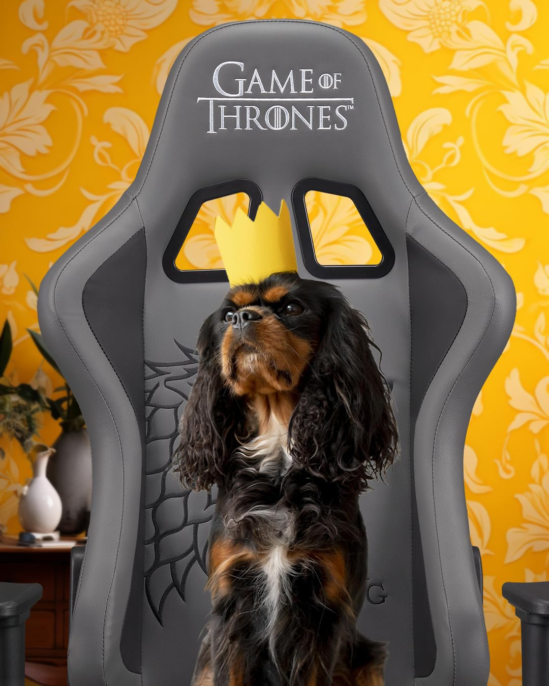 Subsonic Gaming Chair Game of Thrones, Ergonomic Office Chair for Gamer with Adjustable Armrests