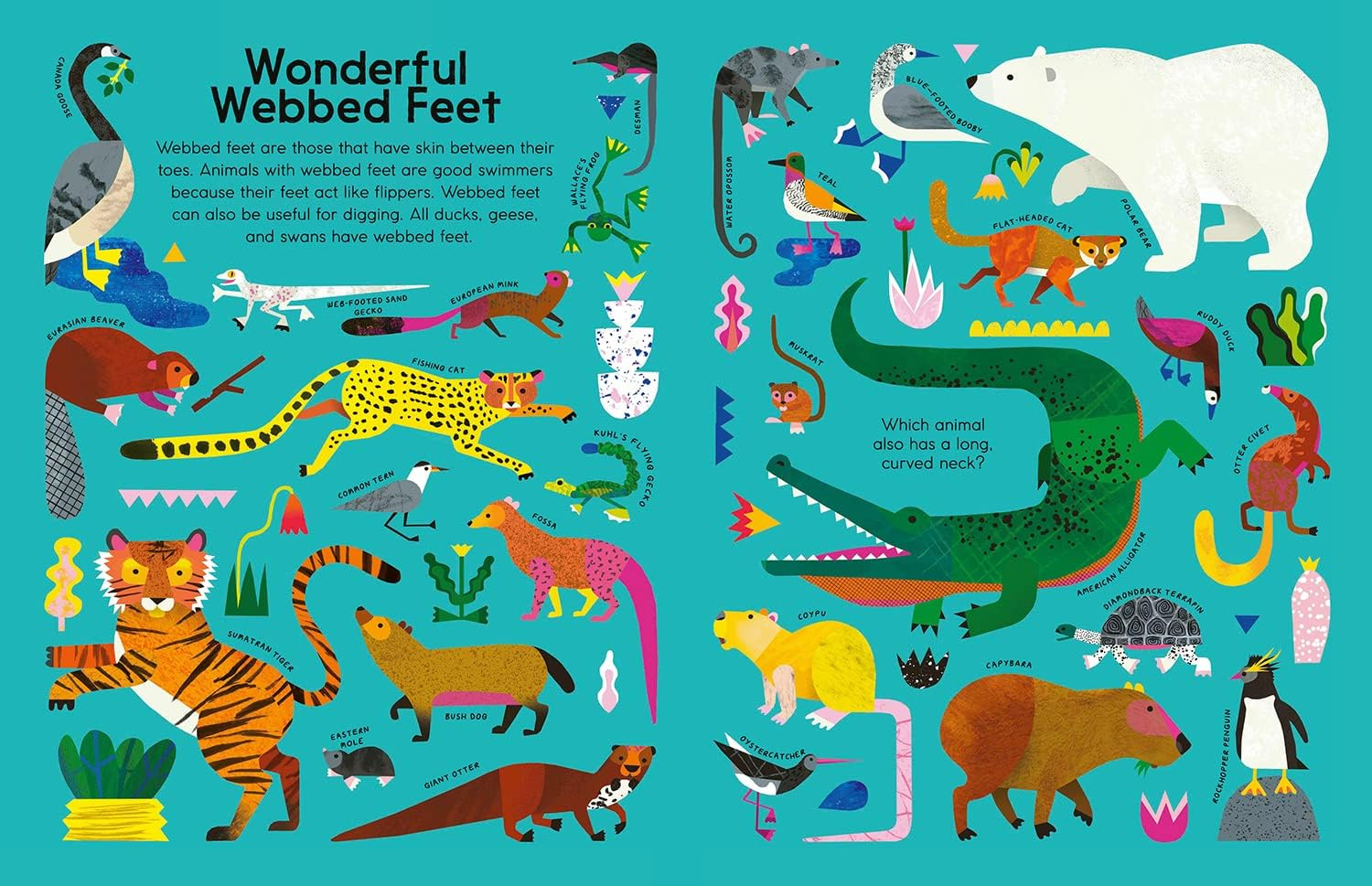 Creature Features Vibrant Illustrated Kids' Non-fiction Book