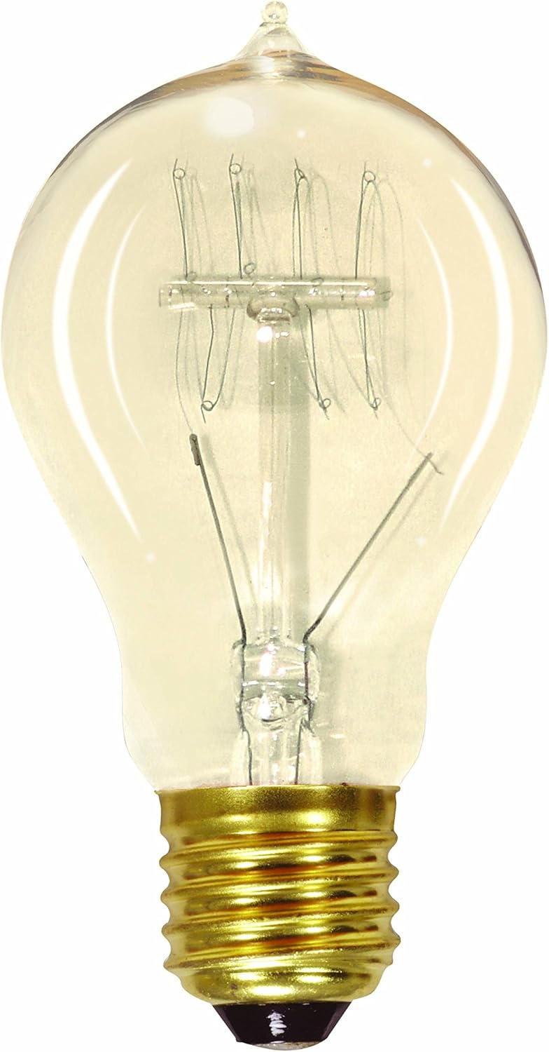 Vintage Clear Quad Loop Filament Incandescent Edison Bulb, A19