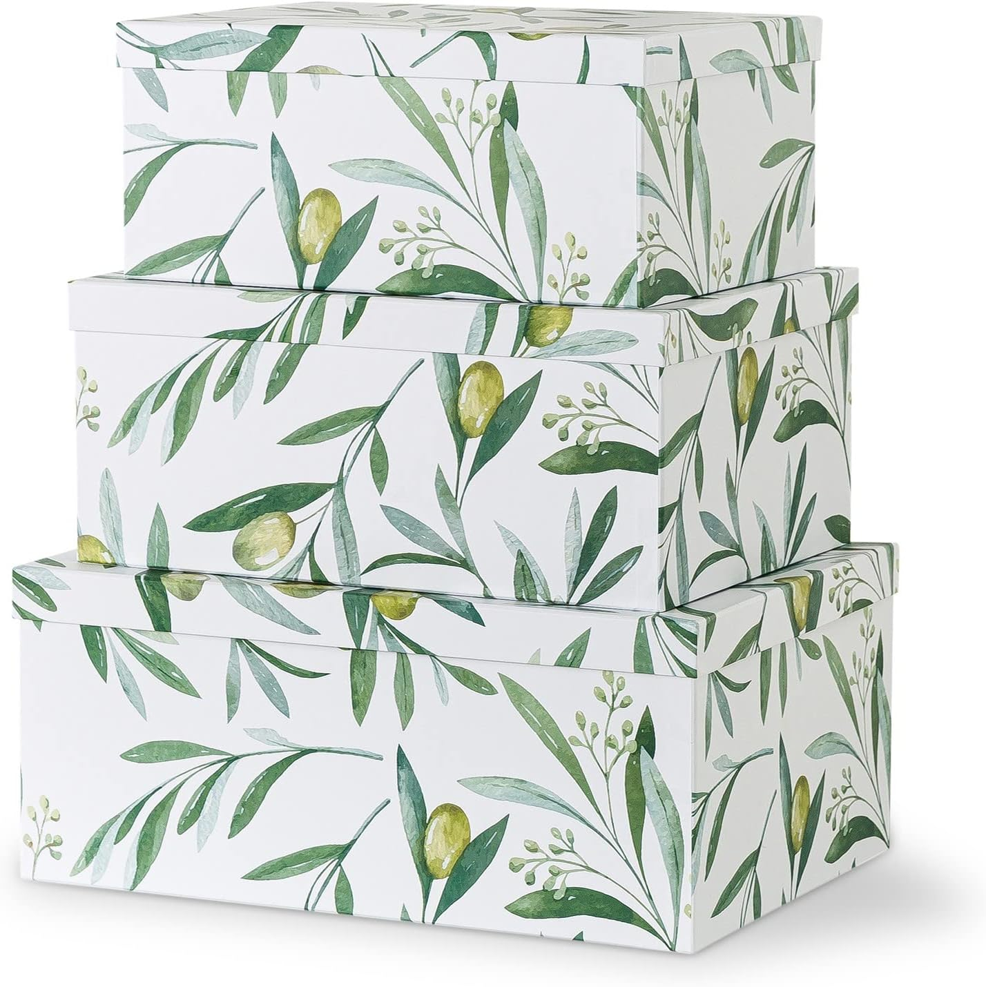 Soul & Lane Olive Branches Cardboard Boxes - Set of 3: Botanical Themed Wedding Favor Bins, Paperboard Photo Storage Box, Flower Decorative Storage Boxes with Lids, Green and White Gift Bins