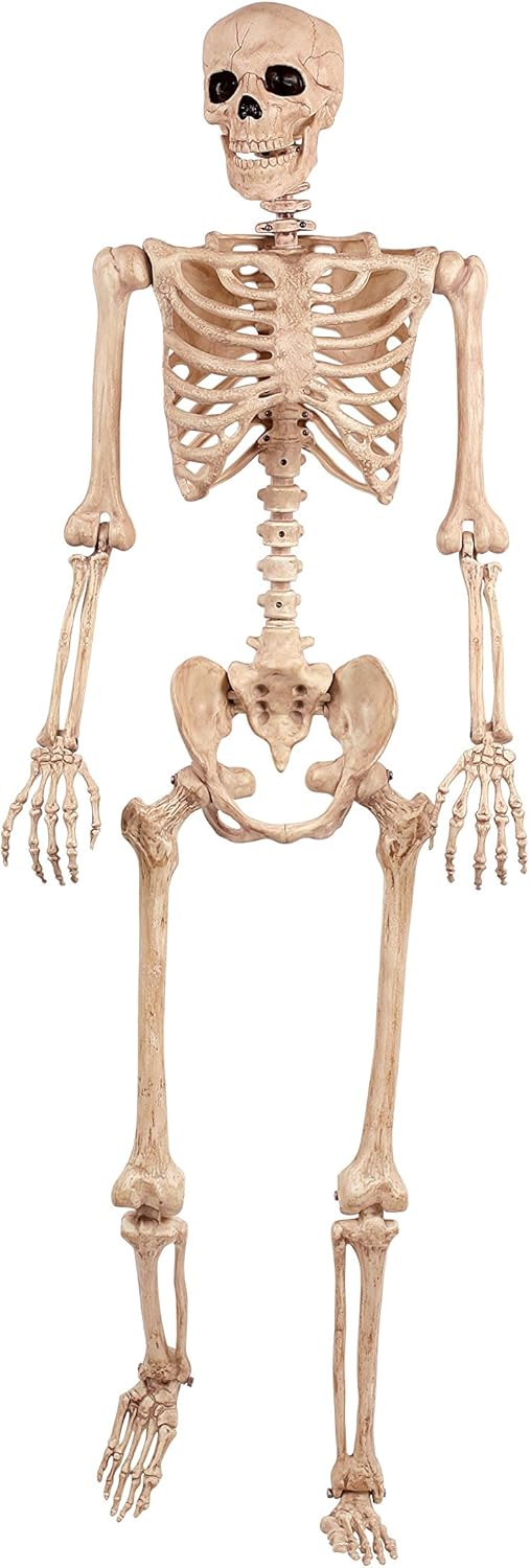 Crazy Bonez Pose-N-Stay Life Size 5 FT Skeleton with Realistic Posable and Movable Joints for Halloween Indoor and Outdoor Decoration