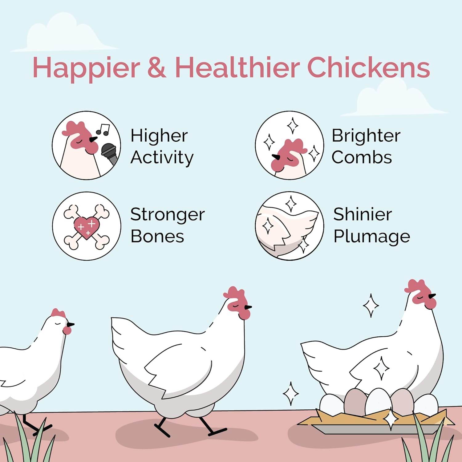 Mile Four | Layer Organic Chicken Feed | 100% US Grown Grains, Certified Organic, Certified Non-GMO, Corn-Free, Soy-Free, Non-Medicated Chicken Food | 16% Protein | Whole Grain | 23 lbs.
