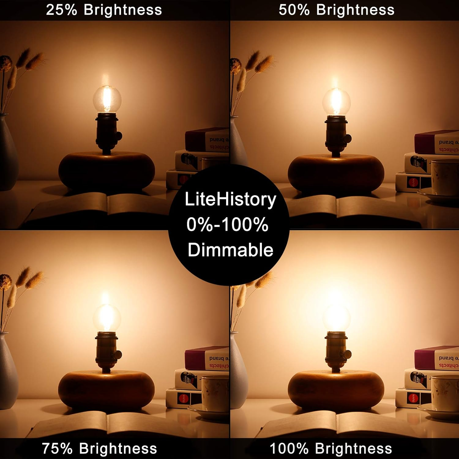 LiteHistory Dimmable 40W g16.5 Edison Bulb - 2700K 4W e26 Globe Bulb for Ceiling Fans, Chandeliers, Vanity Lights - AC120V 400lm 6Pack