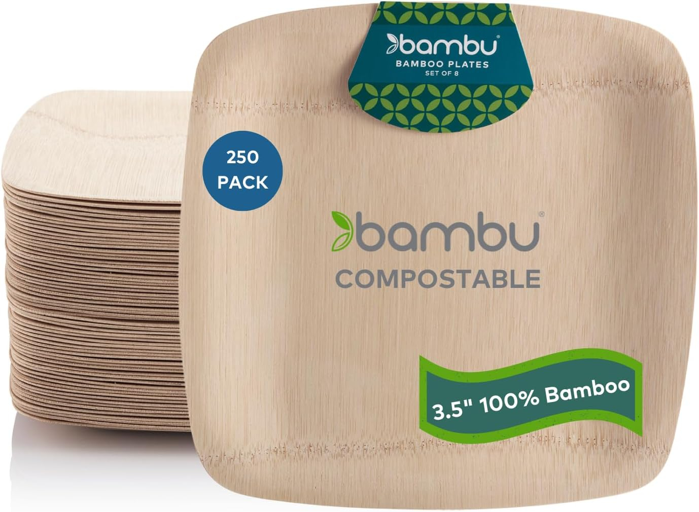 Eco-Friendly 3.5" Square Bamboo Compostable Plates, Pack of 250