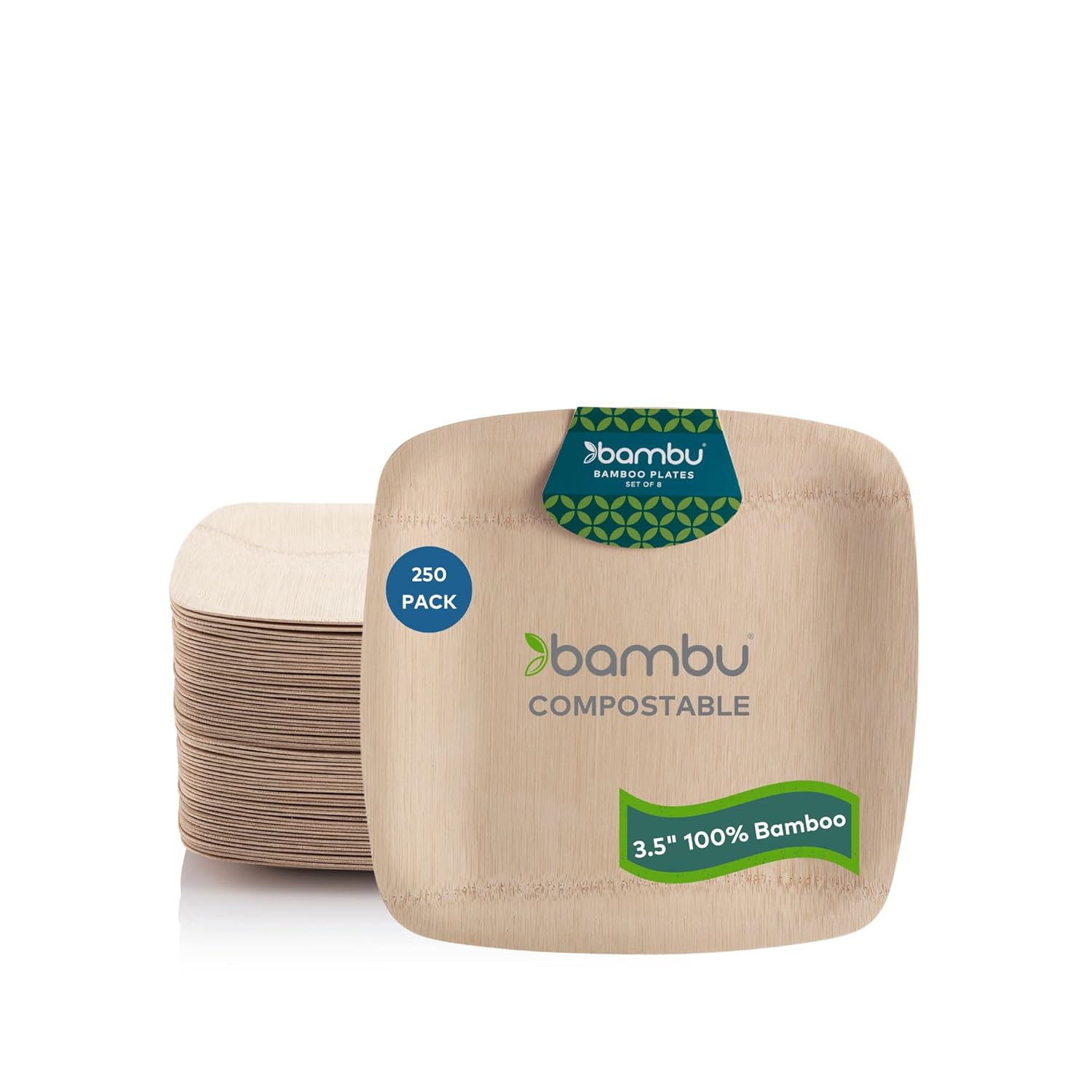 Eco-Friendly 3.5" Square Bamboo Compostable Plates, Pack of 250