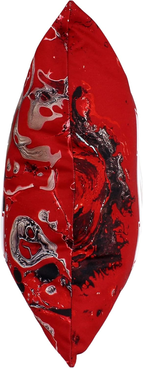 Nebraska Cornhuskers 2 Sided Color Swept Decorative Pillow, 16", Made in The USA