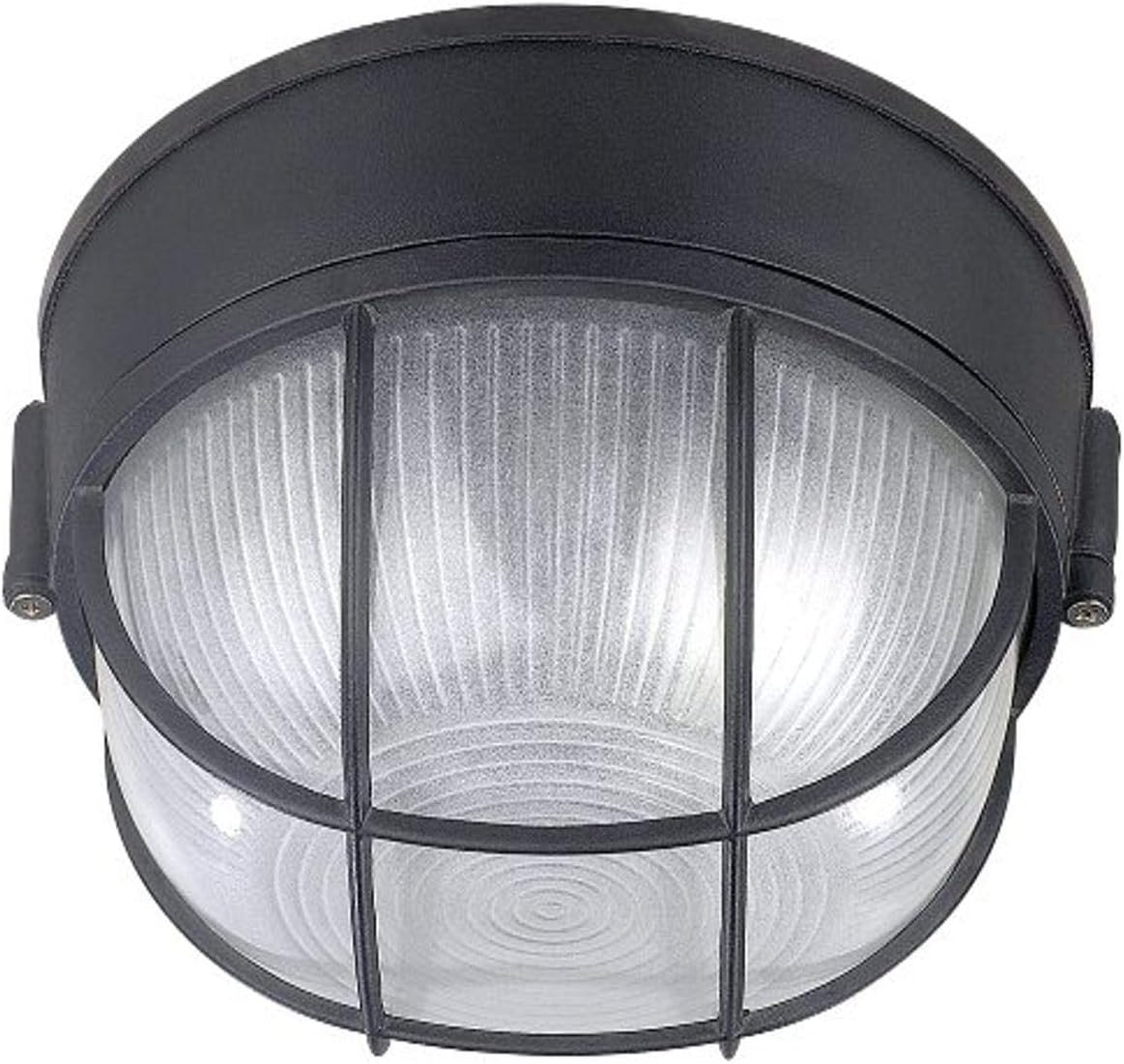 Canarm IOL17BK The Outdoor 1-Bulb Flush Mount Exterior Light with Frosted Glass Globe, Black