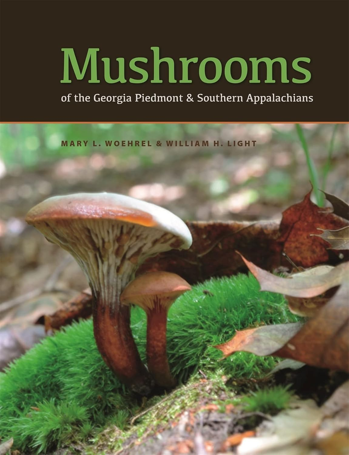 Mushrooms of the Georgia Piedmont and Southern Appalachians - (Wormsloe Foundation Nature Books) by  Mary L Woehrel & William H Light (Hardcover)