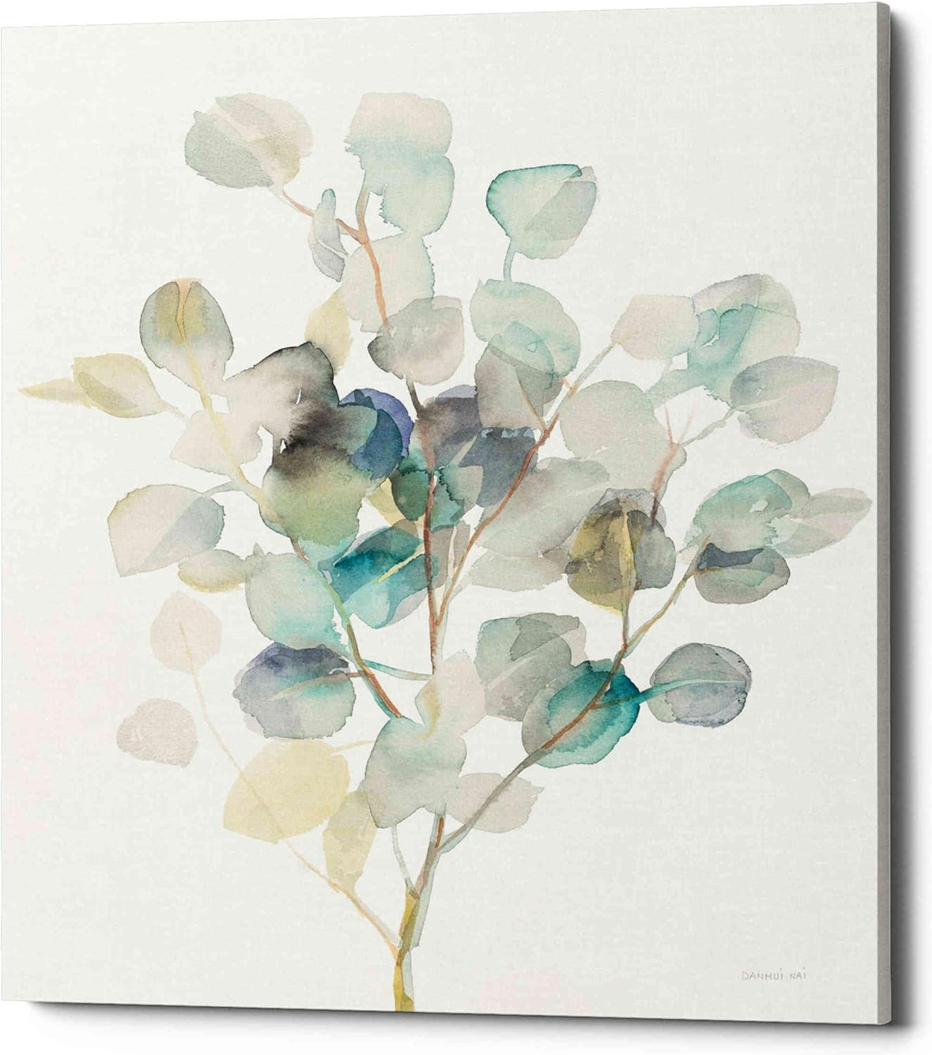 Epic Graffiti  "Eucalyptus III White" by Danhui Nai, Giclee Canvas Wall Art 20" x 24"