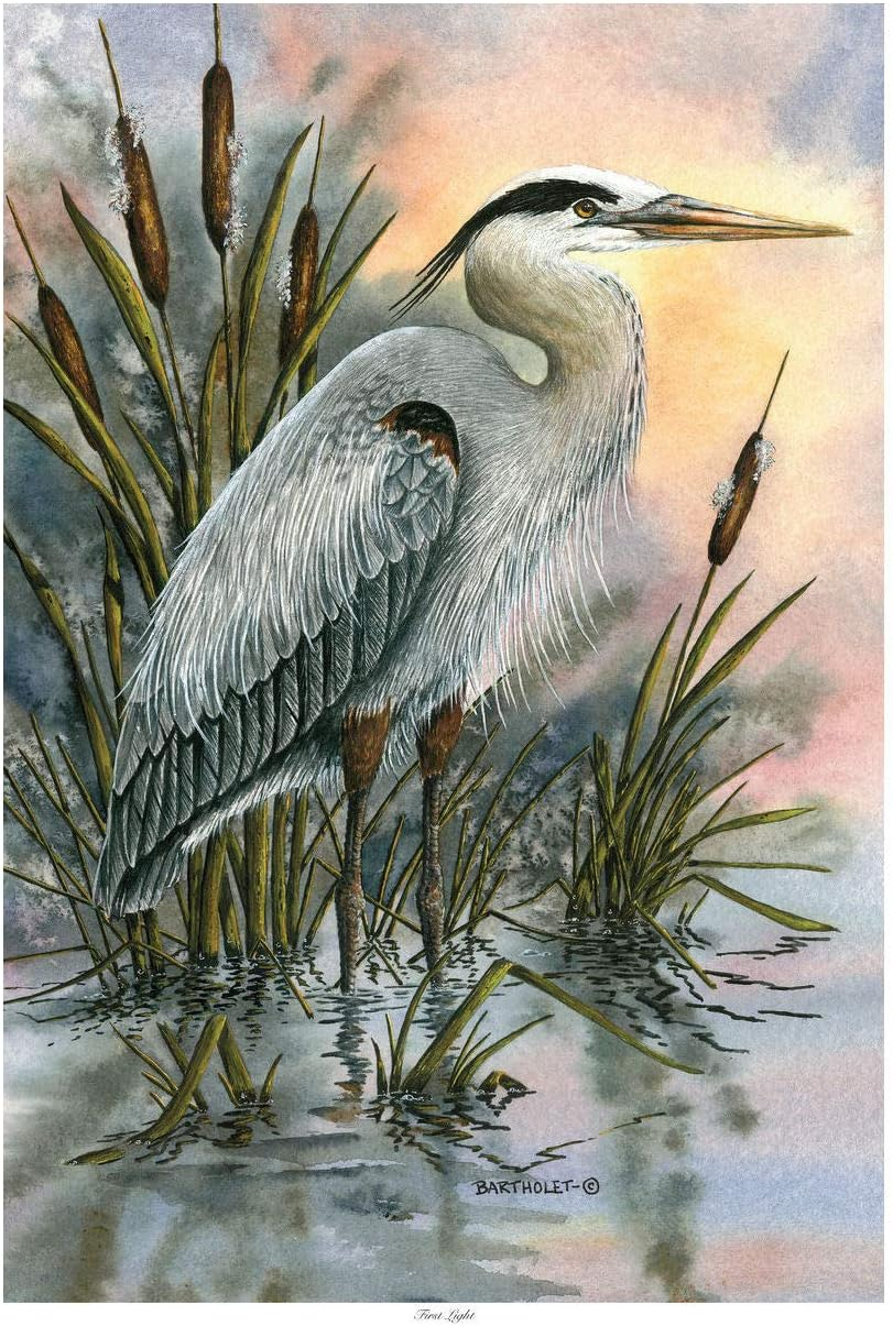 Blue Heron Watercolor Art Print Poster 12" x 18"