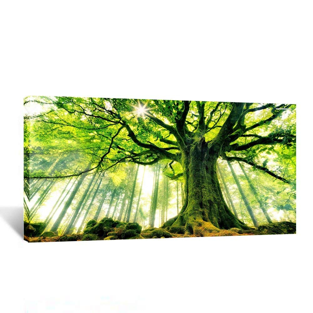 KREATIVE ARTS Canvas Large Art Print Spring Forest Nature Green Big Tree Wall Art Photo Printed on Canvas Framed Artwork for Office Wall Decoration Ready to Hang 20x40inch