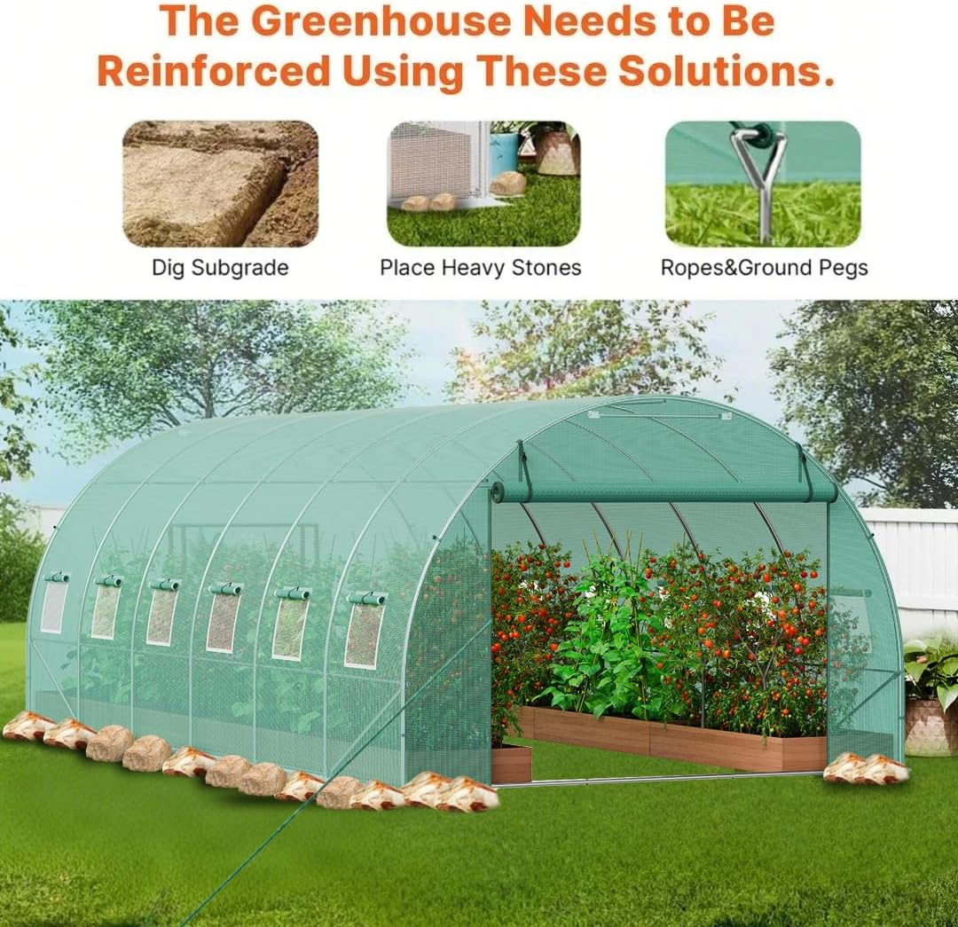 Large Green Walk-In Tunnel Greenhouse with Galvanized Steel Frame