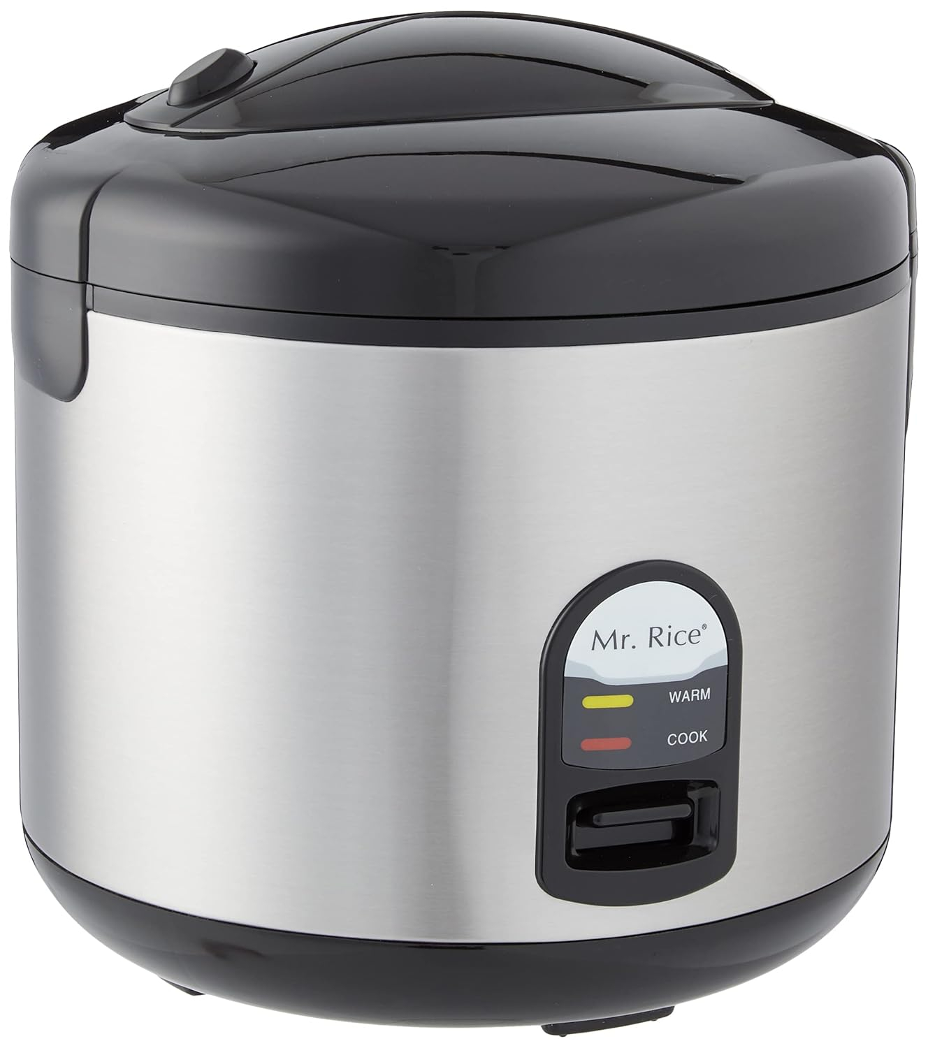 Mr. Rice 10-Cup Stainless Steel Electric Rice Cooker with Steamer