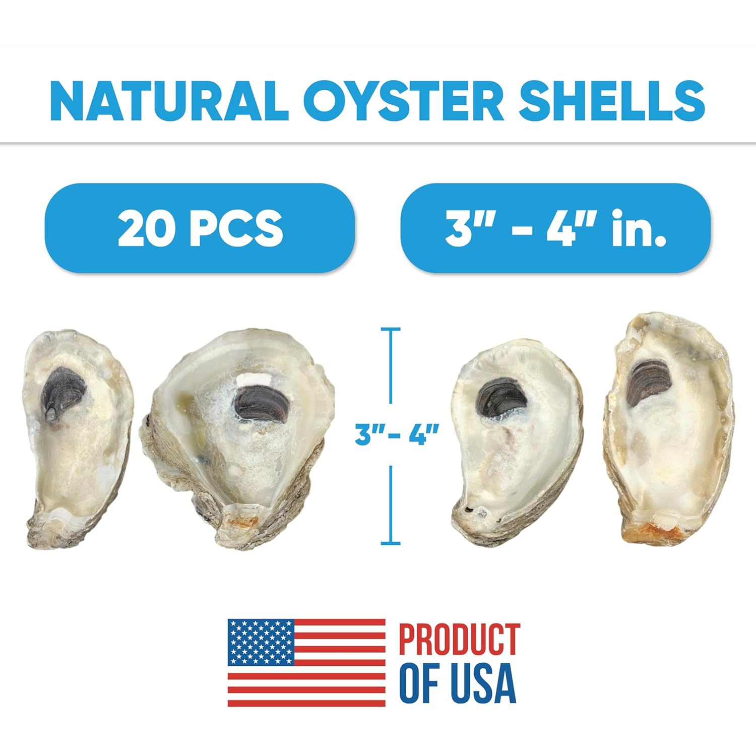 Tumbler Home Oyster Shells for Crafts, 3" - 4" Large Oyster Shells, 20PCS Bulk Bag for DIY Crafting, Decoupage, Christmas Ornaments, Wreaths, Weddings, Beach Decor Arts & Crafts. Farmed in USA