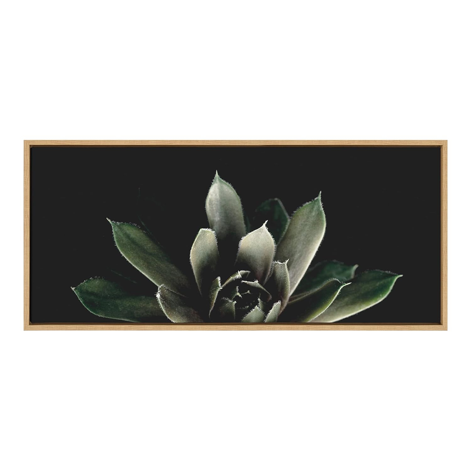 Kate and Laurel Sylvie Salutation Framed Canvas Wall Art by Emiko and Mark Franzen of F2Images, 18x40 Natural, Dramatic Dark Botanical Plant Art for Wall