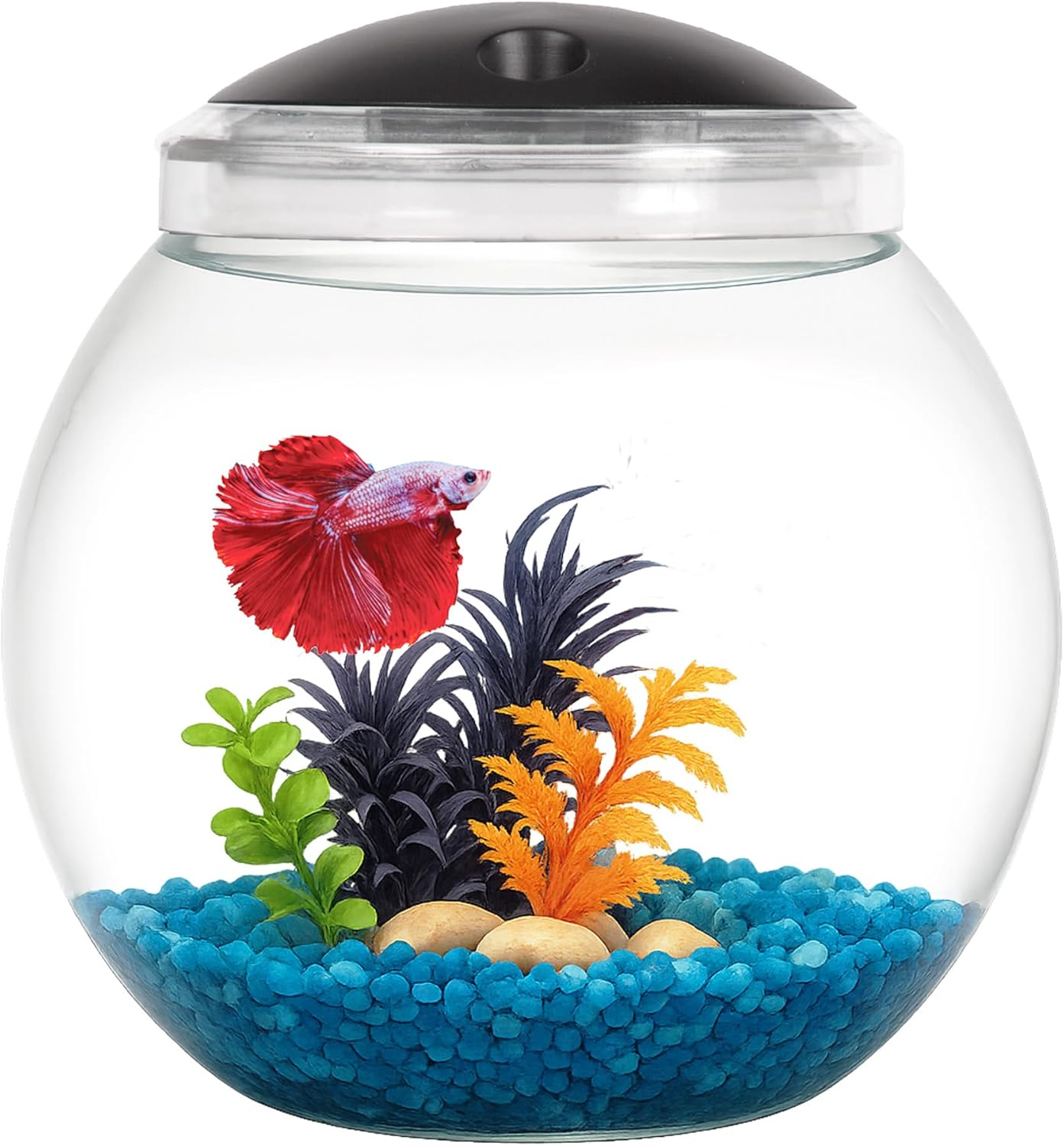 Koller Products 1-Gallon Globe Fish Bowl, Impact- Resistant Plastic Aquarium Starter Kits with LED Lighting, Buit-in Timer, Crystal-Clear Clarity, Desktop Fish Tank for Home Décor