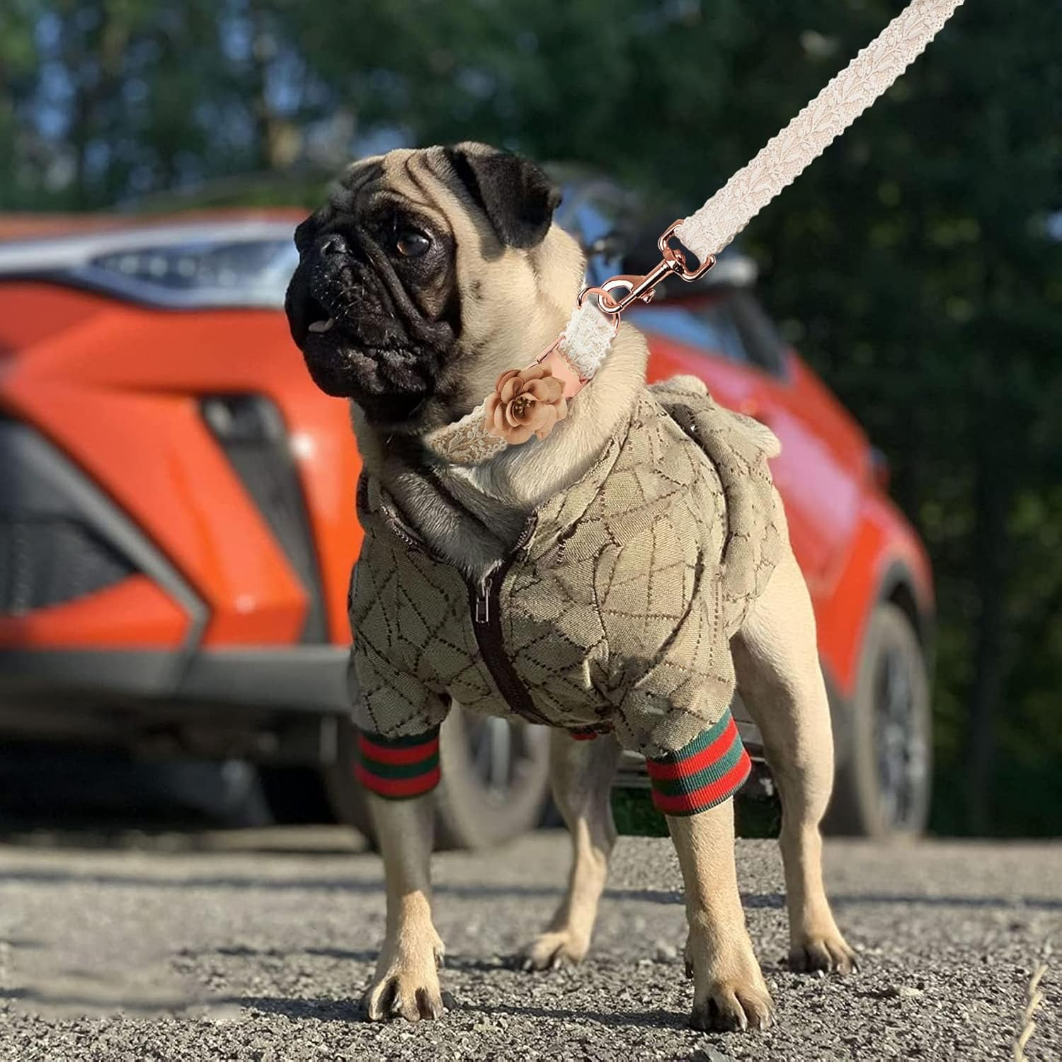 Dog Hoodie Luxury Winter Small Dog Jacket Clothes Classic Designer Warm Pet Coats Zipper Design Easy On/Off French Bulldog Teddy Pug Puppy Clothes(S)