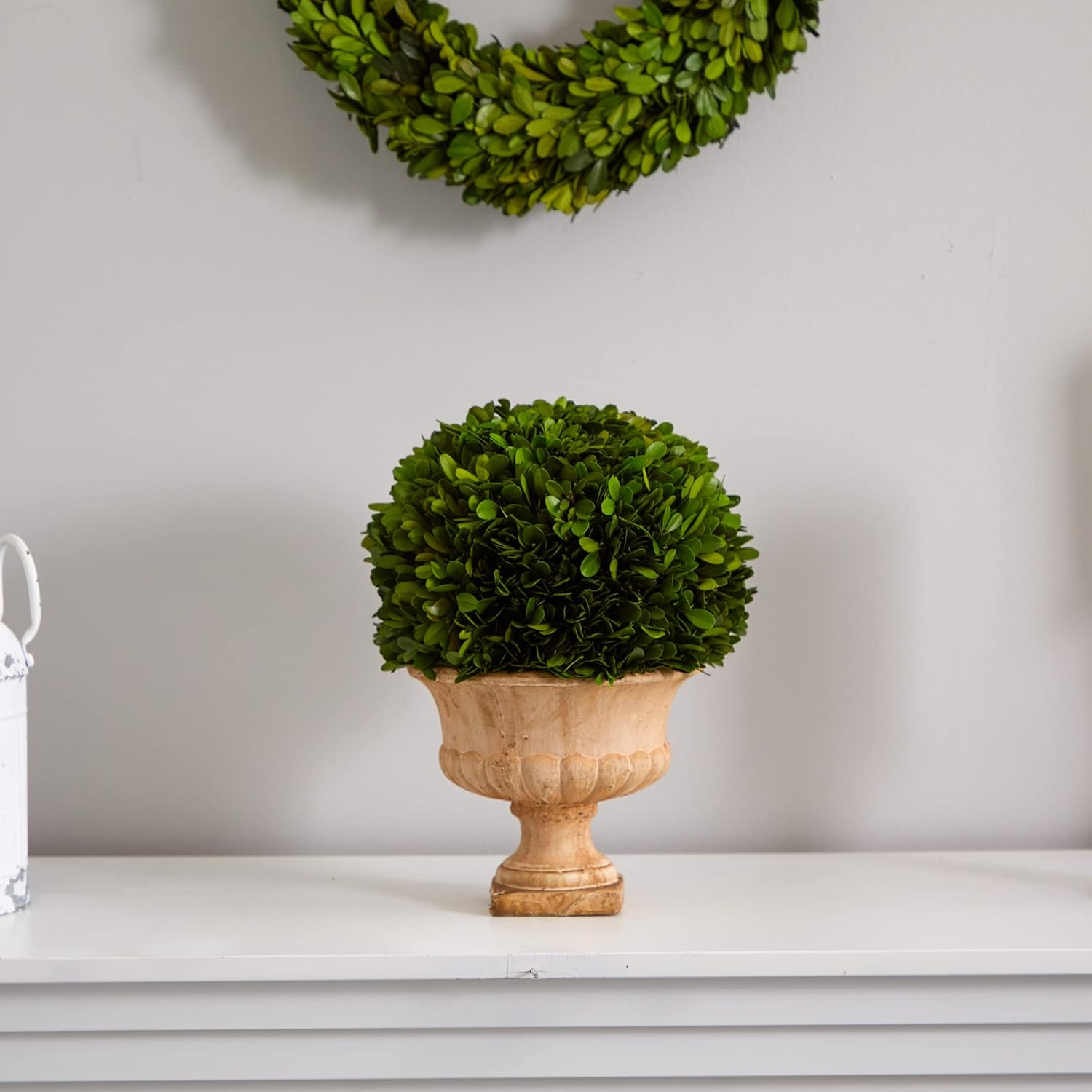 Nearly Natural 12-in Boxwood Topiary Ball Preserved Plant in Decorative Urn