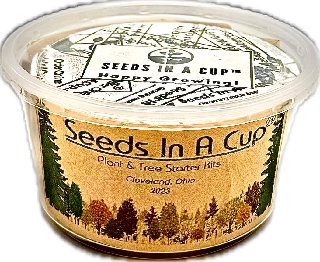 Seeds in a Cup Tree Starter Kit with Premium Soil