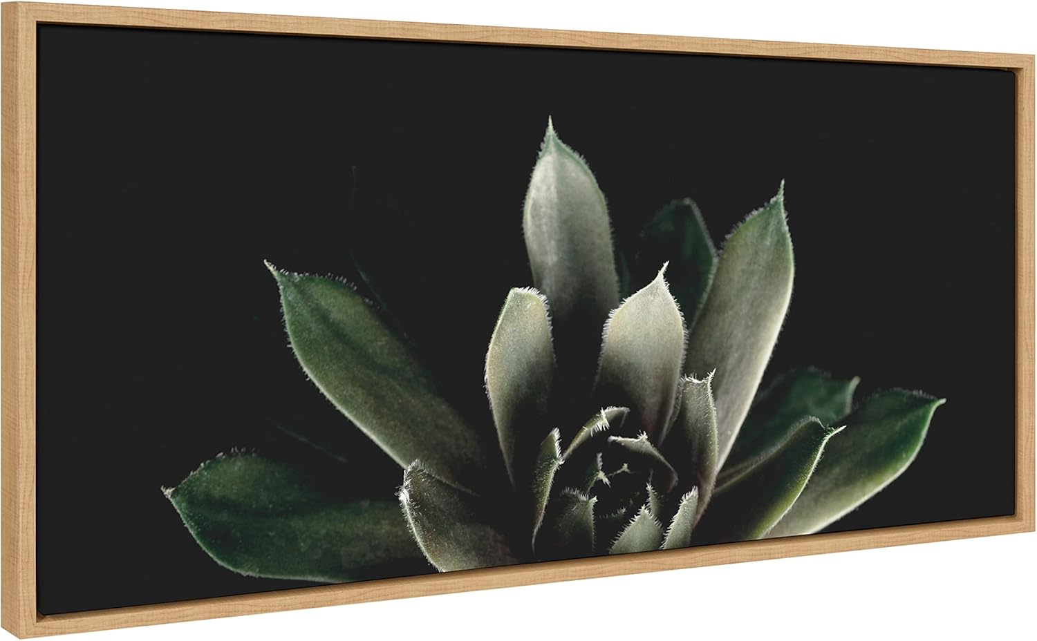 Kate and Laurel Sylvie Salutation Framed Canvas Wall Art by Emiko and Mark Franzen of F2Images, 18x40 Natural, Dramatic Dark Botanical Plant Art for Wall