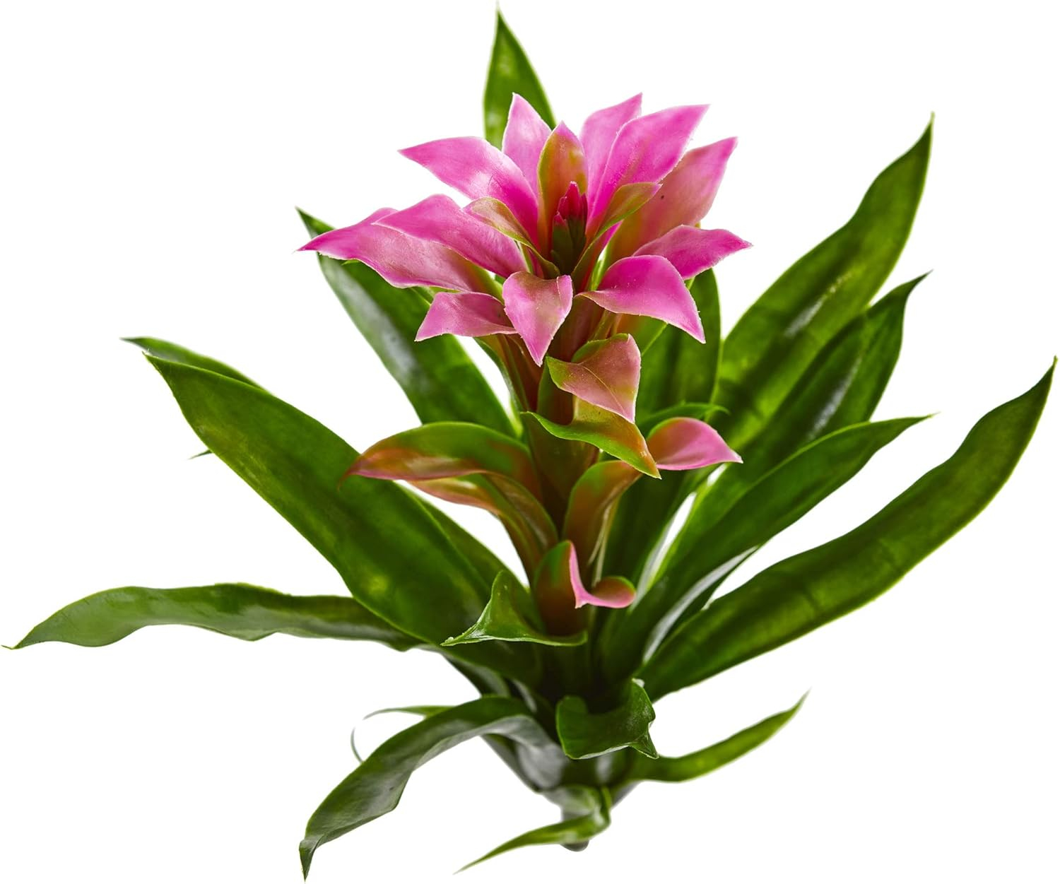 15-inch Pink and Green Artificial Bromeliad Flower Set