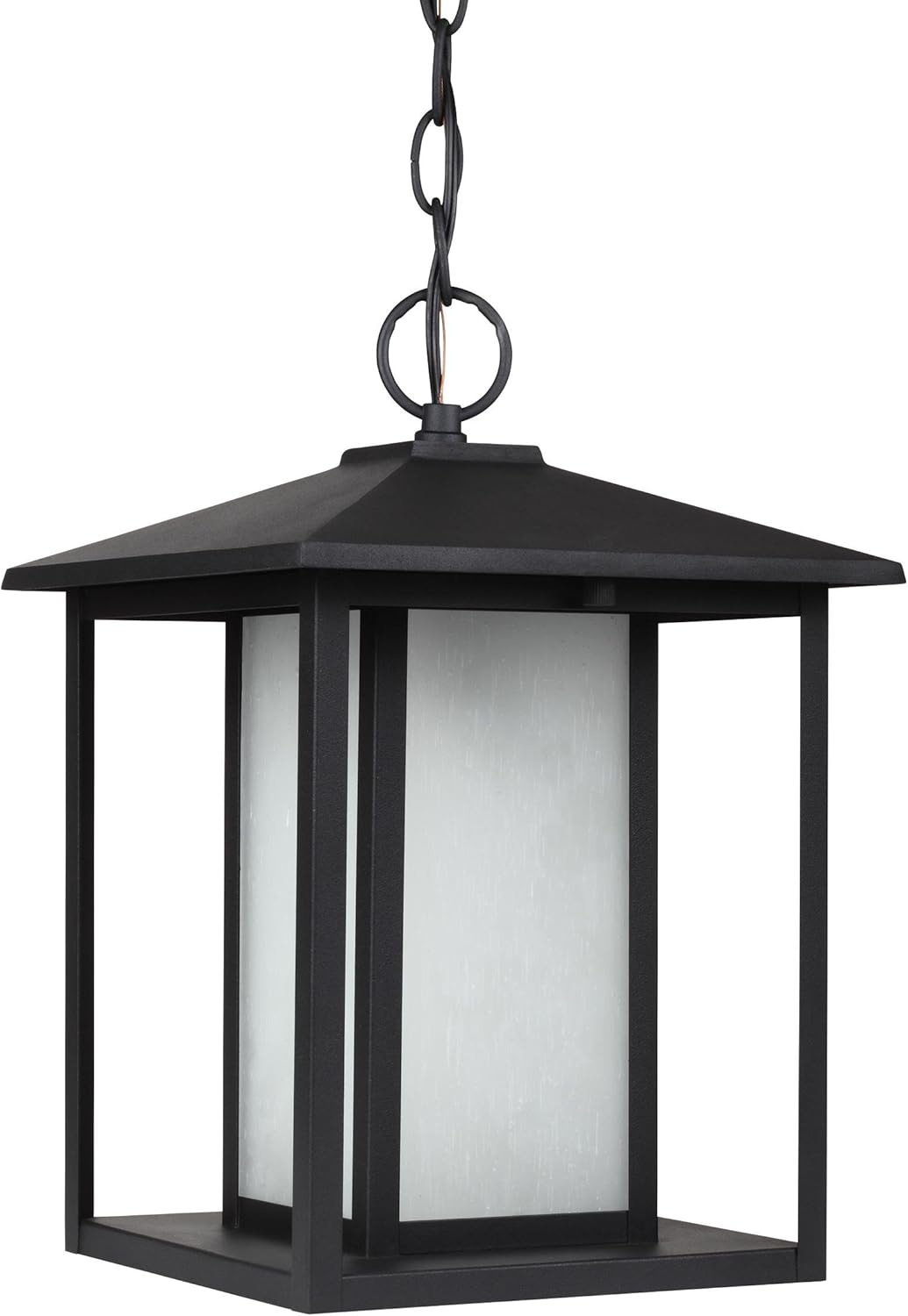 WAGEE Generation 69029-12 Transitional One Light Outdoor Pendant from Seagull-Hunnington Collection in Black Finish, 9.00 inches, 9 inch