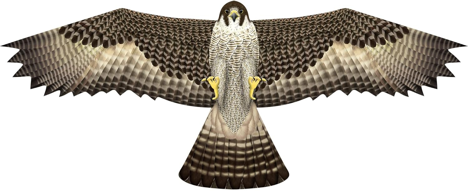 Brain Storm X Kites Birds of Prey Kite 48 Falcon