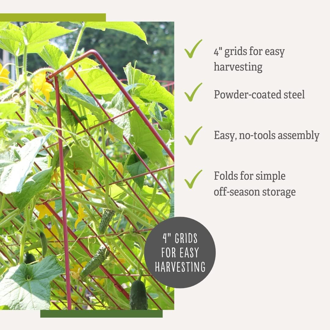 Gardener's Supply Company Cucumber Trellis | Garden Bed Support for Cucumbers & Climbing Plants | Outdoor Plant Support w/ 4" Grids for Easy Harvesting | 32" x 48" - Medium (Red)
