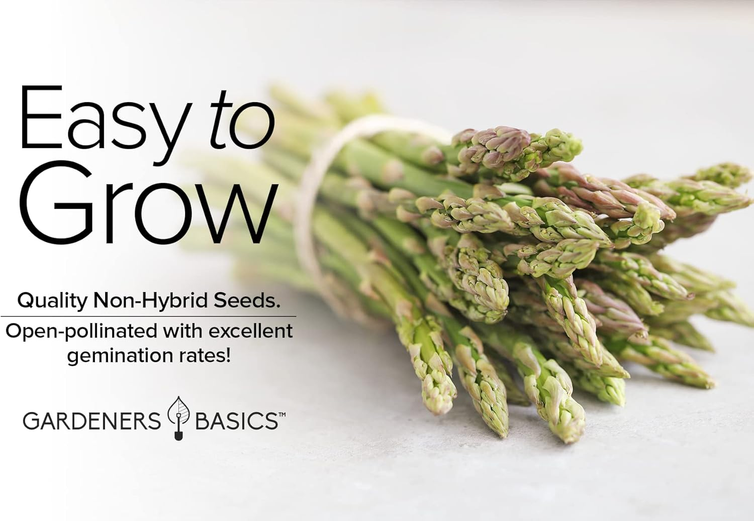 Mary Washington Non-GMO Heirloom Asparagus Seeds for Spring Planting