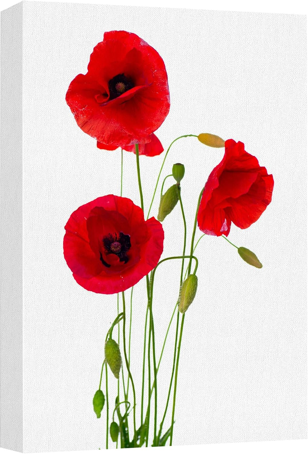 wall26 Canvas Print Wall Art Red Poppy Flowers on White Wood Panels Nature Wilderness Digital Art Realism Chic Colorful Multicolor Ultra for Living Room, Bedroom, Office - 12"x18"