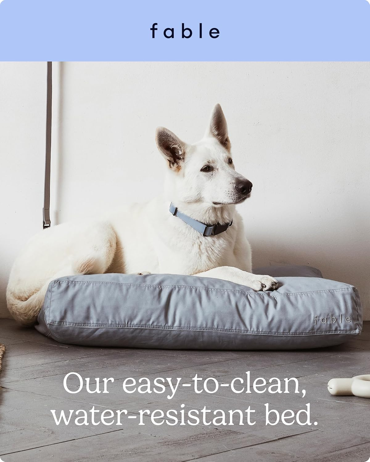 Orthopedic Pet Bed