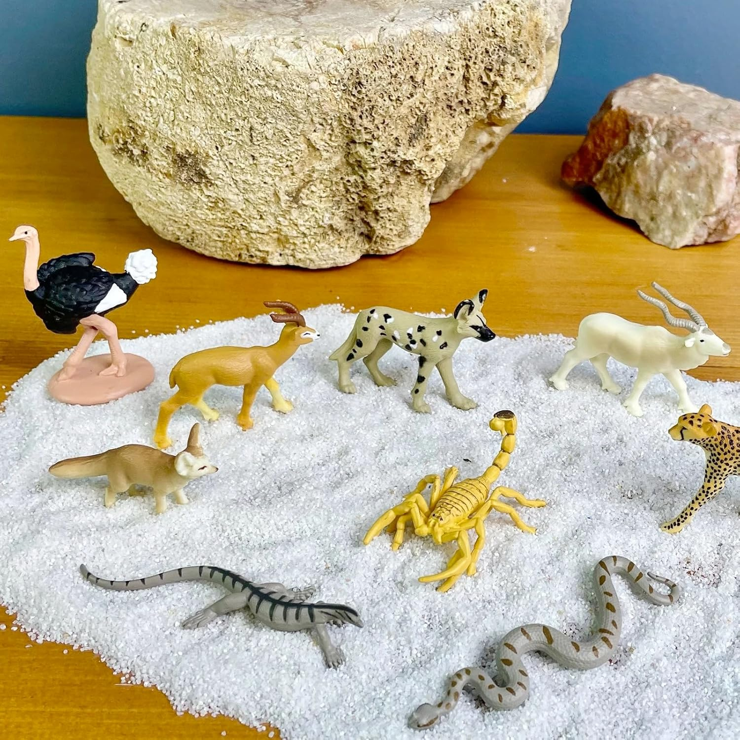 Sahara Desert Animal Figurines Set with Hand-Painted Details