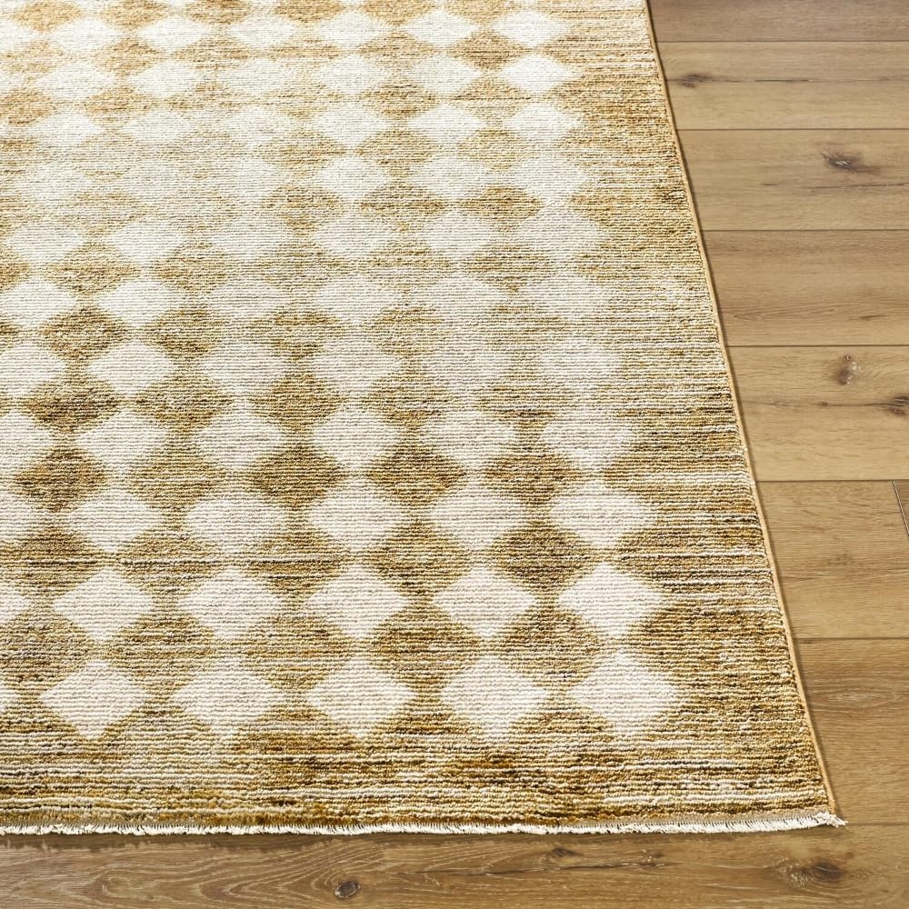 Galey Alix x Livabliss Myrtle Avenue V Machine Woven Area Rug