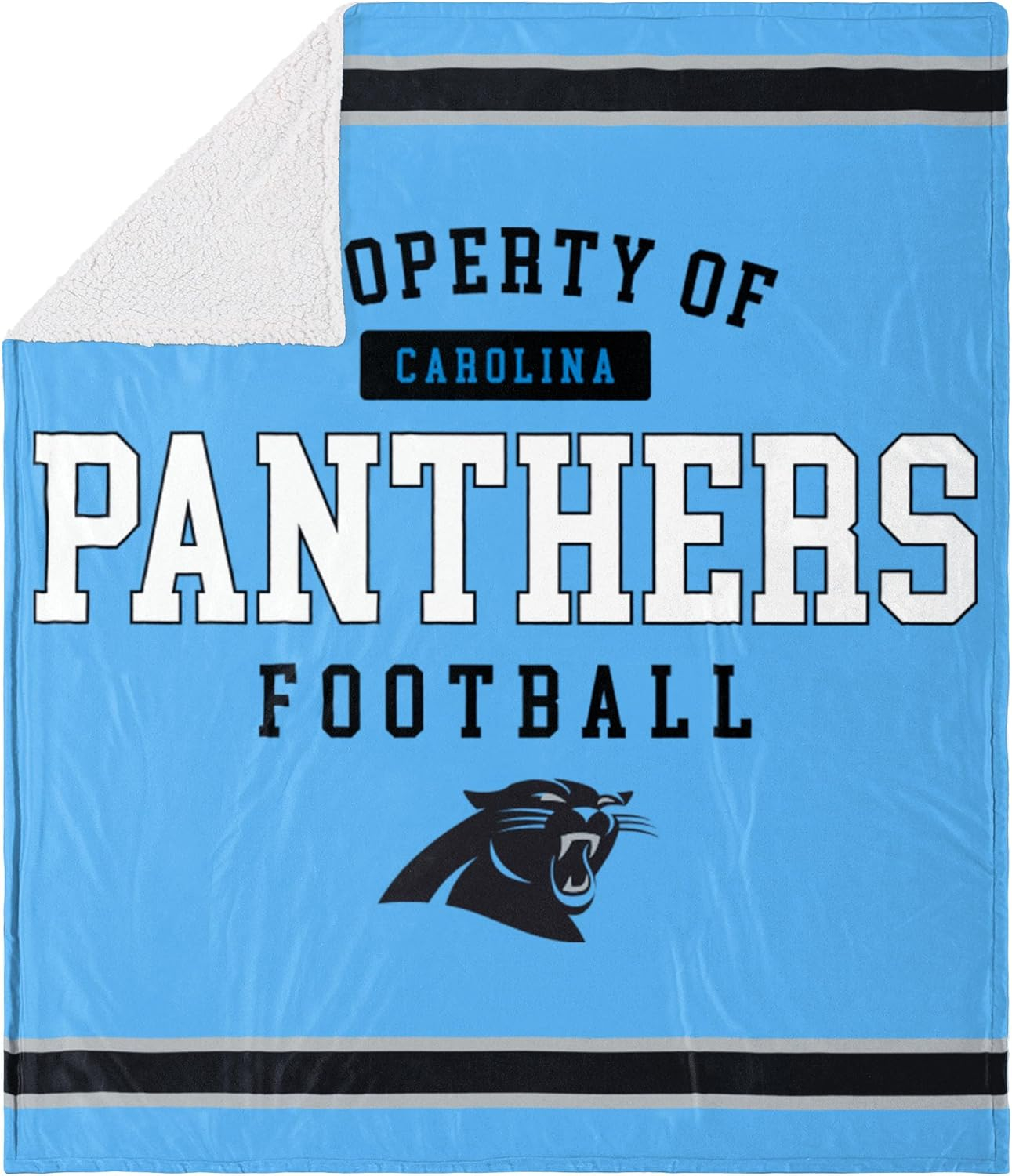 FOCO NFL Unisex-Adult NFL Plush Throw