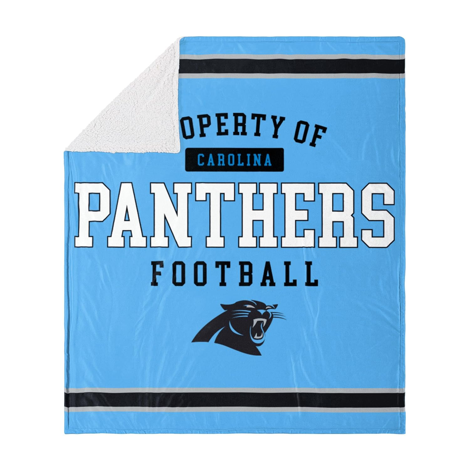 FOCO NFL Unisex-Adult NFL Plush Throw